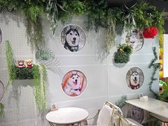 -Husky Go! 哈士奇体验馆·宠物咖啡厅狗咖
