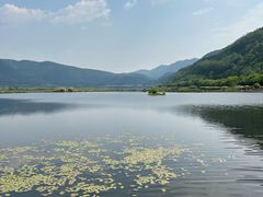 -腾冲北海湿地