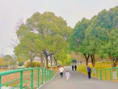 -白塘生态植物园