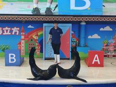 -成都浩海立方海洋公园