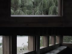 -华侨城湿地公园