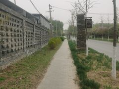 -东郊湿地公园