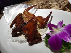 -乔睿四季轩(樟阁路店)