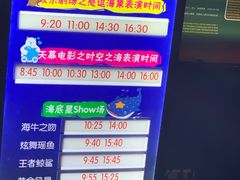 -烟台海昌鲸鲨海洋公园