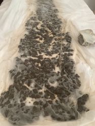 -姜美堂·蒸姜除湿の纤体美颜馆