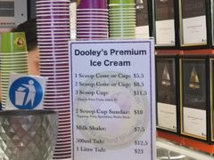 -Dooley's Premium Ice Cream
