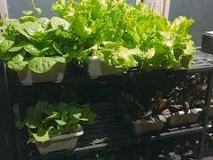 -旅马餐厅(茅家埠店)