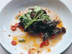 -鸽小宝(深圳首店)