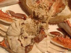 -77号渔船·蒸海鲜青岛菜(积米崖店)