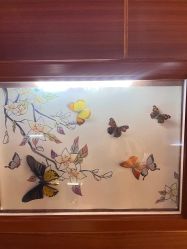 -酷嗒动物文化乐园(cutezoo西溪乐天城店)