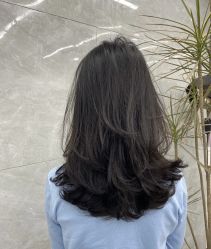 -潘多拉Hairsalon
