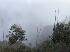 -悉尼蓝山三姐妹峰