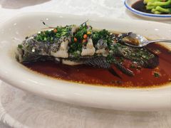 葱油老虎斑-齐家花园大酒店·本帮菜(宝山店)