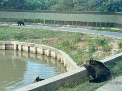 -上海野生动物园