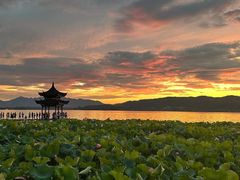 -湖滨28中餐厅·西湖宴·杭州君悦酒店