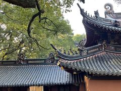 -普陀山风景名胜区-法雨禅寺