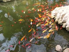 -南通洲际绿博园