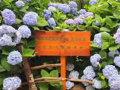 -寂照庵