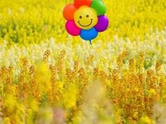 -三圣花乡旅游区