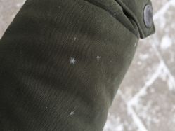 -小齐发型Star·Salon