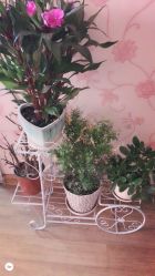 -本真坊美容美体沙龙