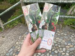 -黄山翡翠谷景区