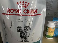 -创凡宠物医院·骨专科  猫科中心(西乡分院)
