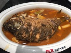 -阿五黄河大鲤鱼(英协路店)