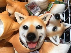 -KKV(深圳宏发大仟里店)