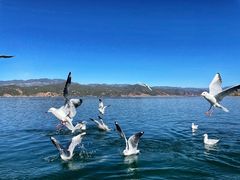 -丽江泸沽湖景区