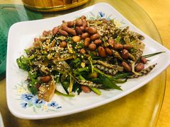 顺德捞起爽鱼皮-成惠食府(赤岗店)