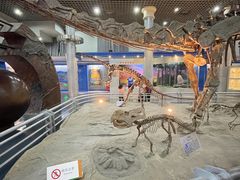 -国家自然博物馆