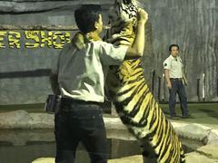 -清迈夜间动物园
