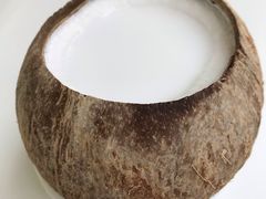 普通椰子冻-椰爺爺·椰子冻砵仔糕