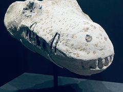 -遇见博物馆(遇见海洋沉浸式奇幻光影展)