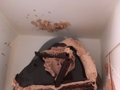 -法颂(金元宝于家堡购物中心店)