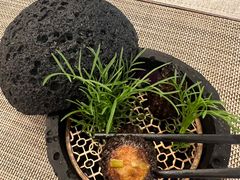 -格桑花开药膳蔬食文化空间