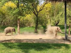 -北京野生动物园