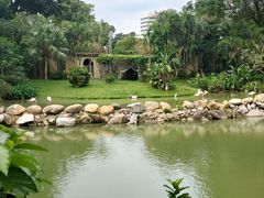 -石排湾郊野公园
