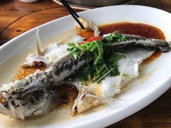 清蒸西江和顺鱼-八仔大富楼·河鲜(西江店)