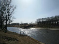 -蒲河岛湿地公园