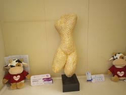 -Yestar艺星医疗美容医院