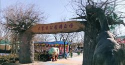 -大望京儿童游乐场