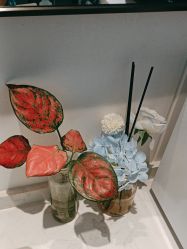 -UTIME媛腾·胶原科技中心