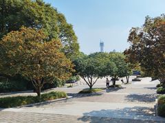 -上海吴淞炮台湾国家湿地公园