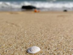 -漳州滨海火山岛自然生态风景区