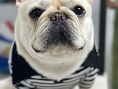 -爱侣宠医·鹦鹉专科·小型哺乳类·异宠专科(灵石路店)