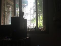 -林康盲人推拿