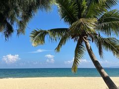 -三亚海棠湾万丽度假酒店