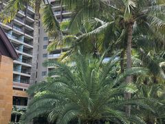 -三亚湾海居铂尔曼度假酒店